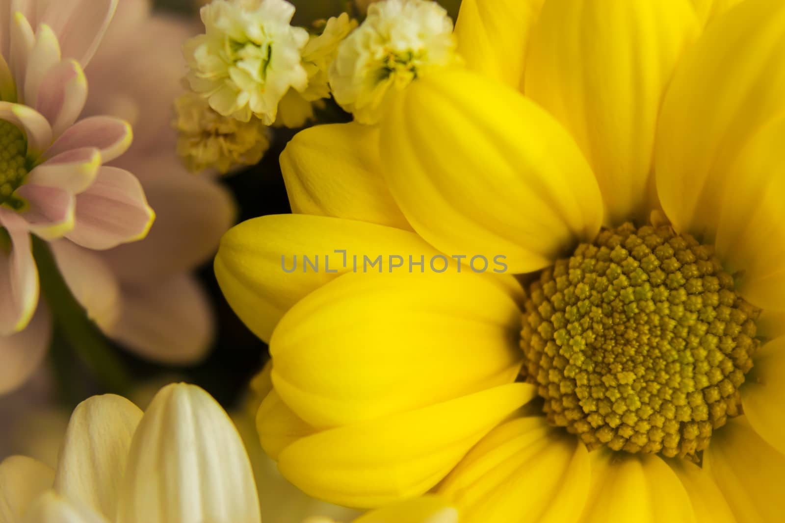 Yellow flower close-up on a background of other flowers in a bouquet