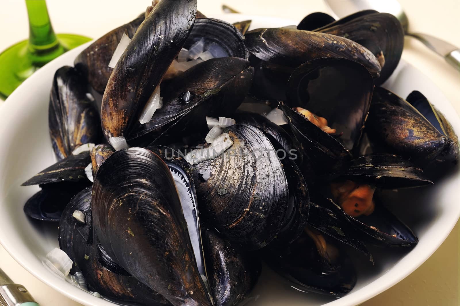 a plate of mussels in white wine