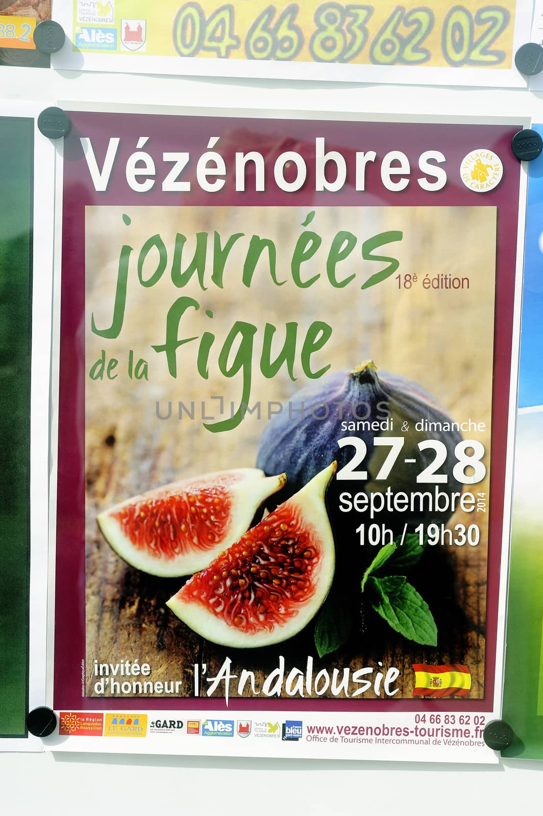 Poster announcing the feast of figs in late September as every year in the village of Vezenobres in the French department of Gard