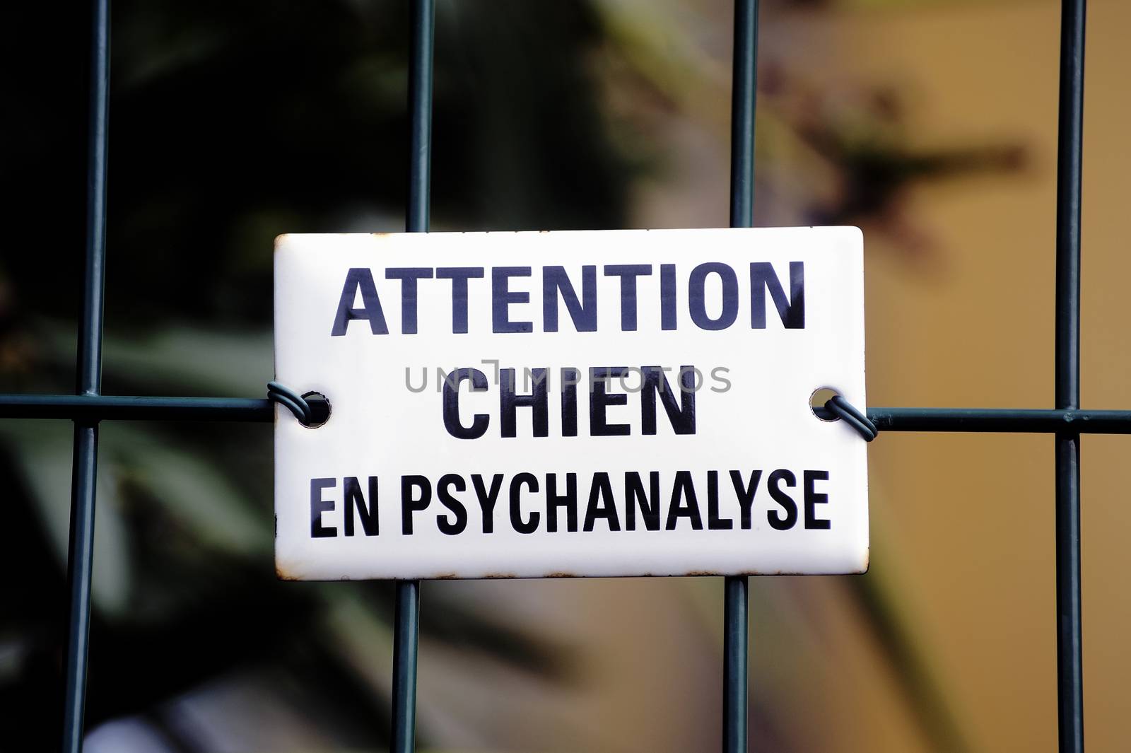 Warning! dog in psychoanalysis by gillespaire