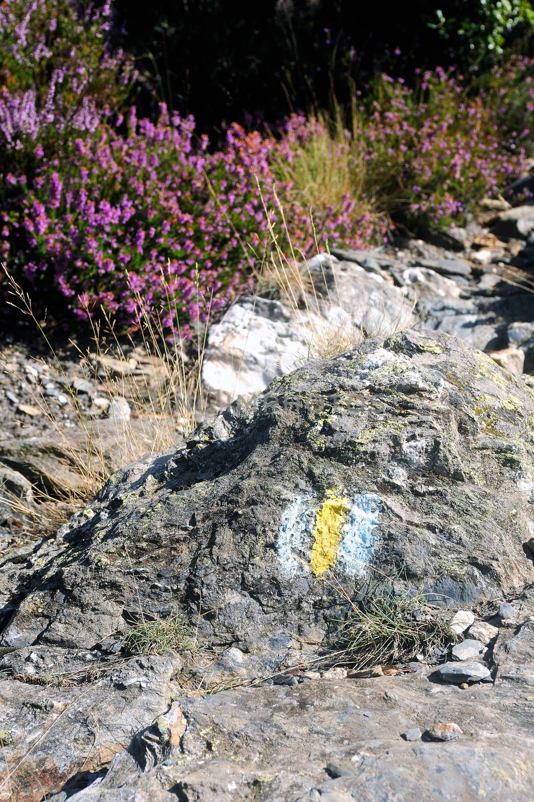 Tagging footpath to floor paint on a rock.