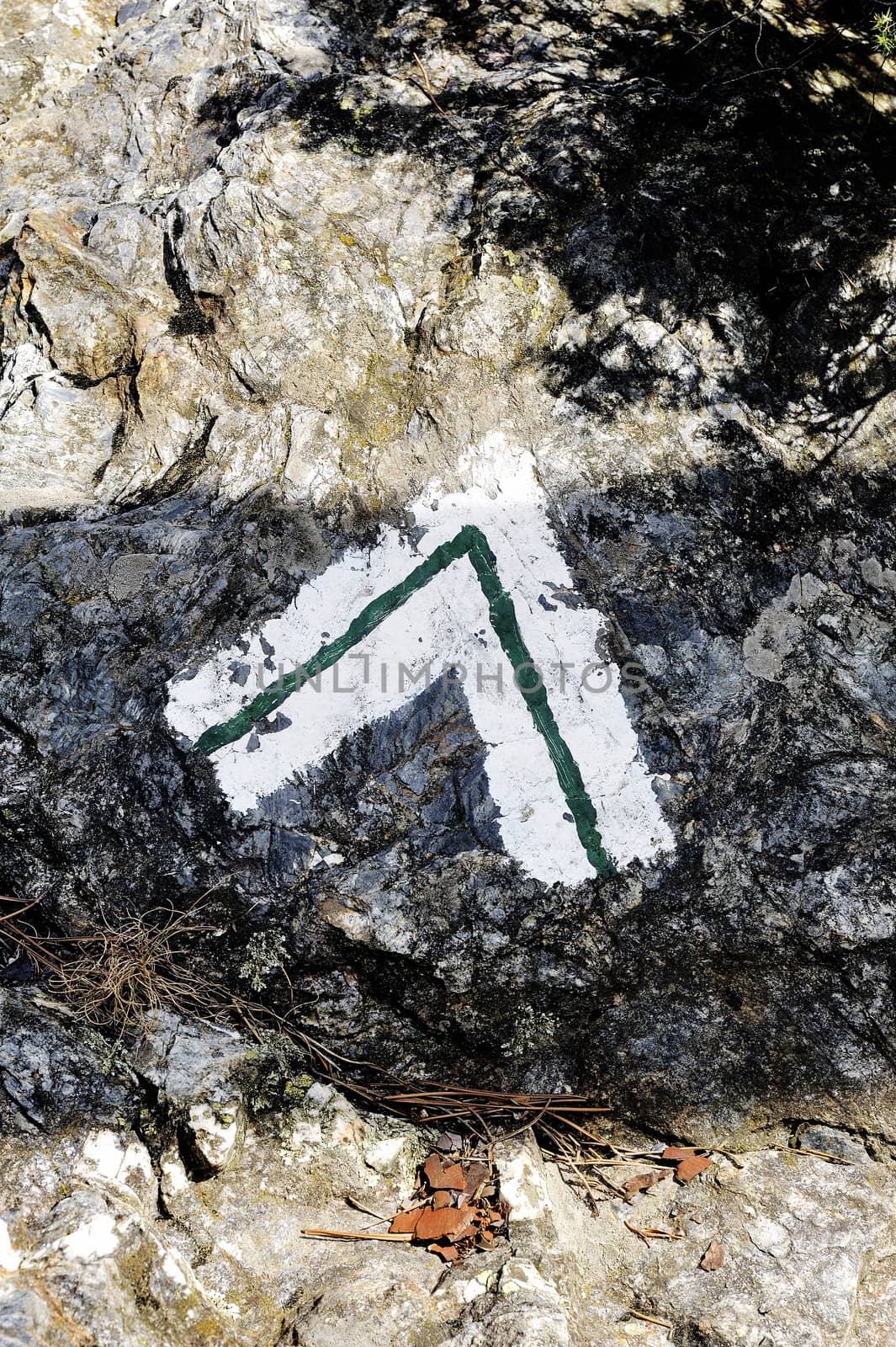 Tagging hiking path to the green and white paint on the ground on a rock.
