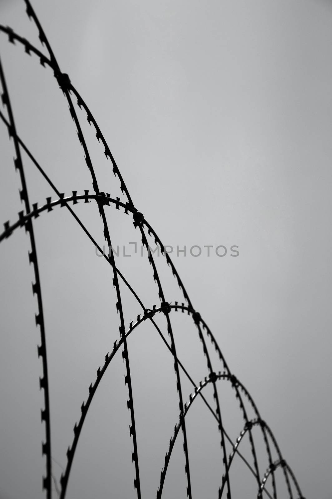 Behind The Barb Wire by gnoktaemre