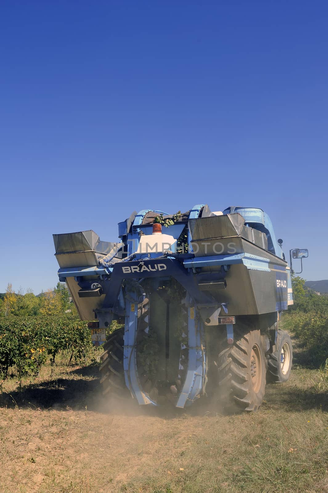 The harvest with machines to harvest the grapes in France in the department of Gard.