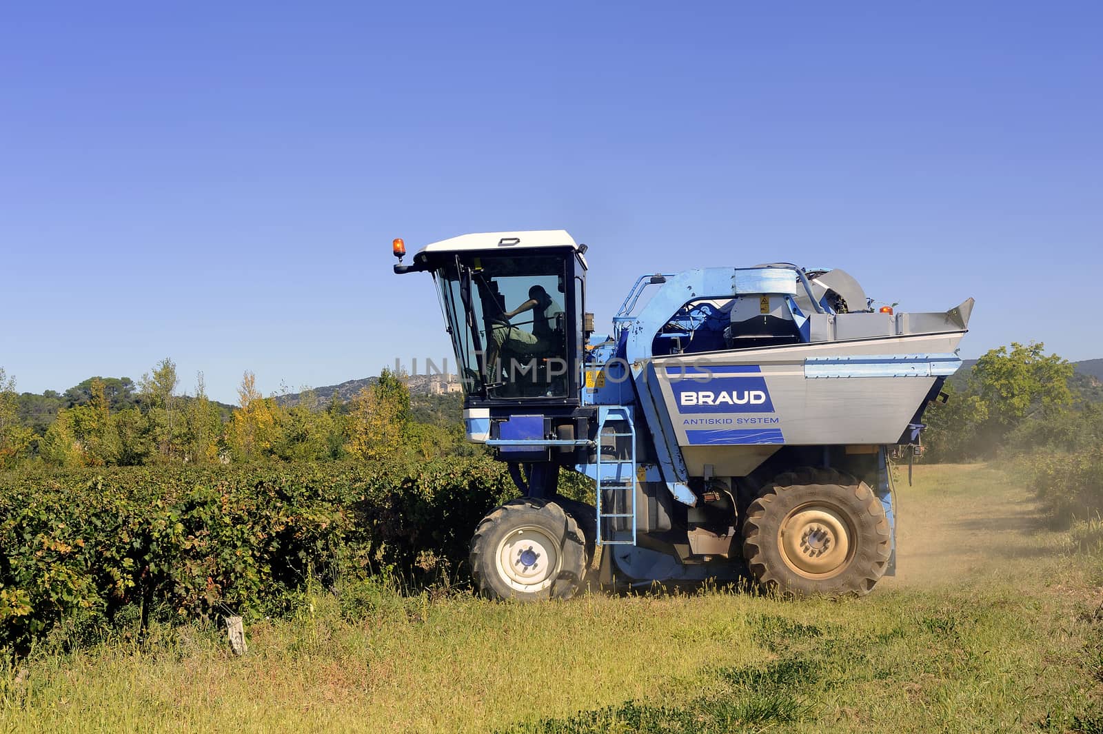 The harvest with machines to harvest the grapes in France in the department of Gard.