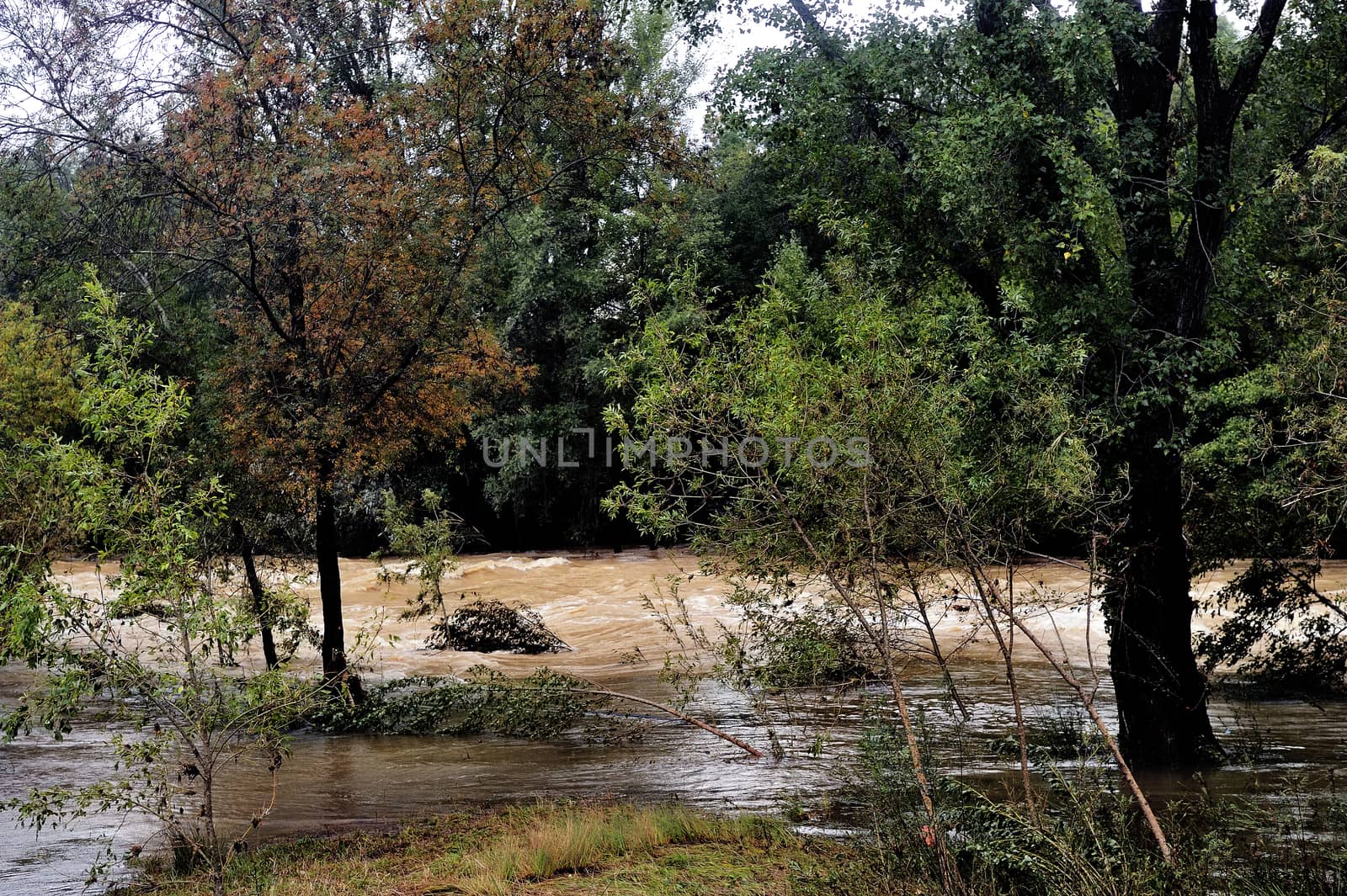 The Vidourle river in flood after heavy rains in France located in the Gard department in the foothills of the Cevennes.