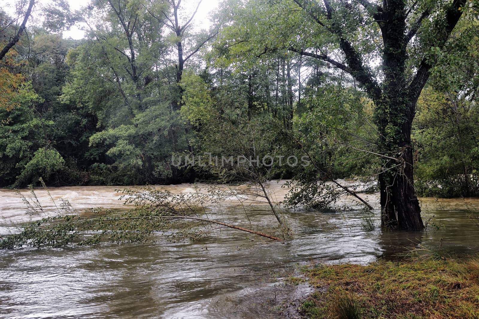 The Vidourle river in flood after heavy rains by gillespaire