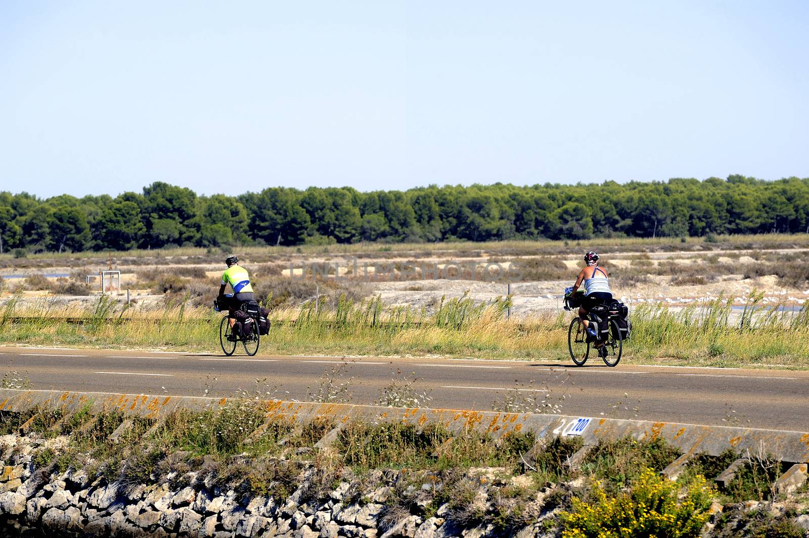 cyclists on the road Grau-du-Roi in the Camargue in the south-east of France.