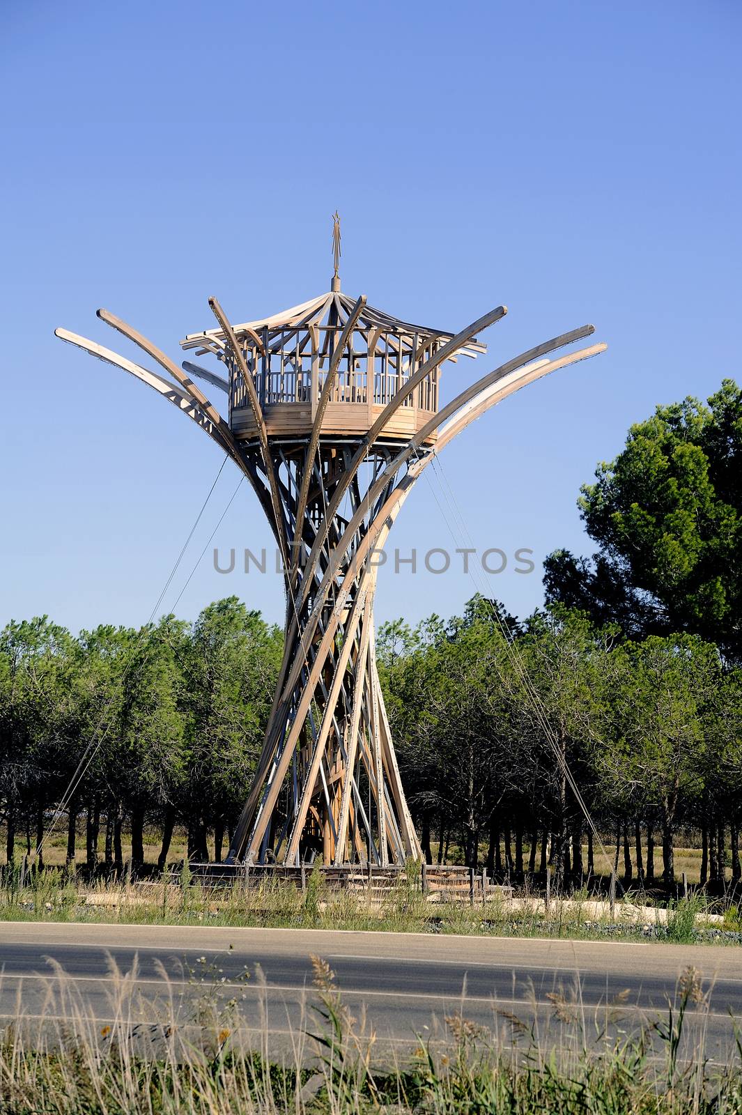 Field Jarras, Listel wine production Aigues-Morte Camargue in the south-east of France. The birds perch