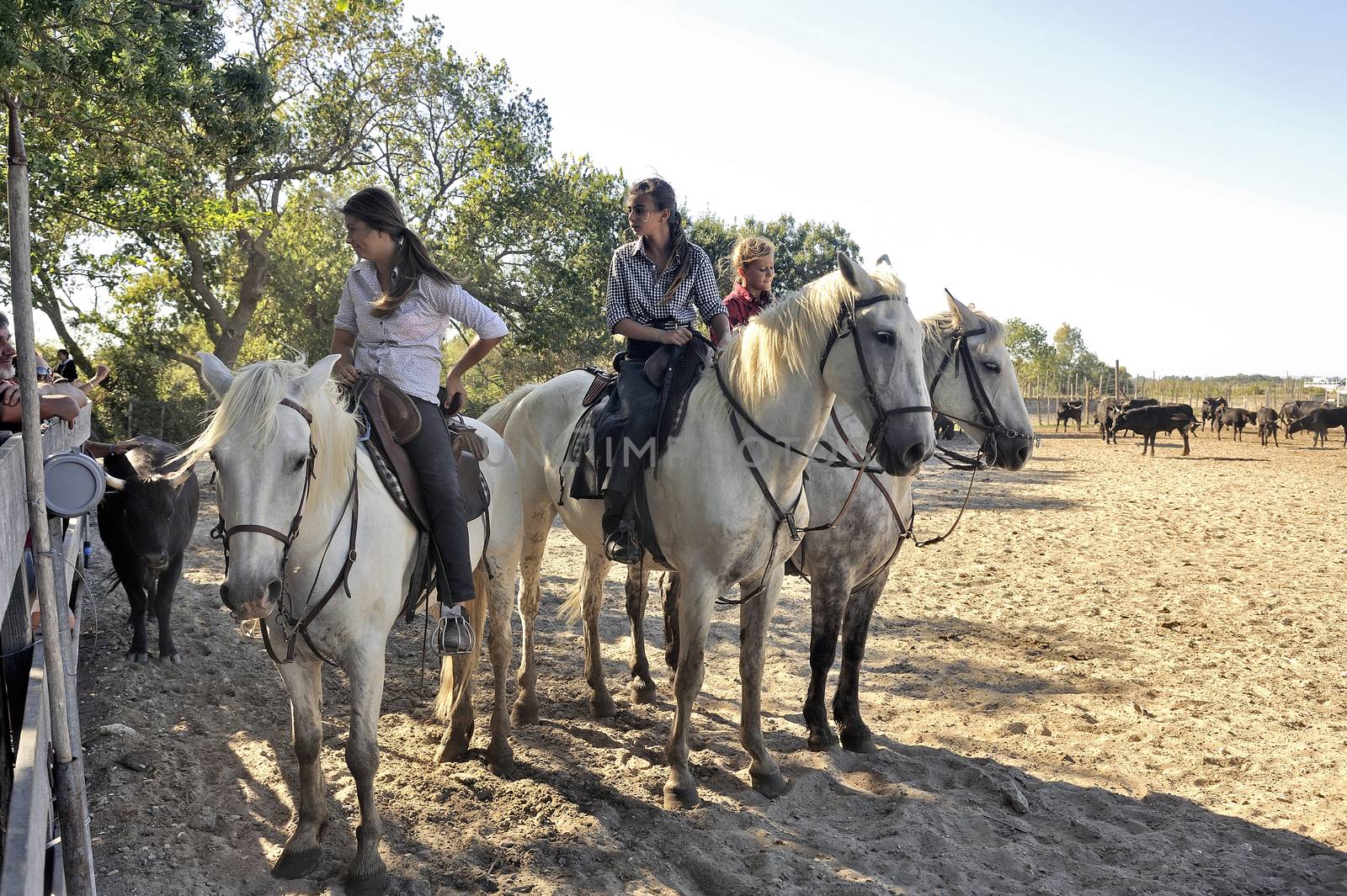 Girls herdsmen in the French Camargue region tourists come to greet spectators after demontration with the bulls.