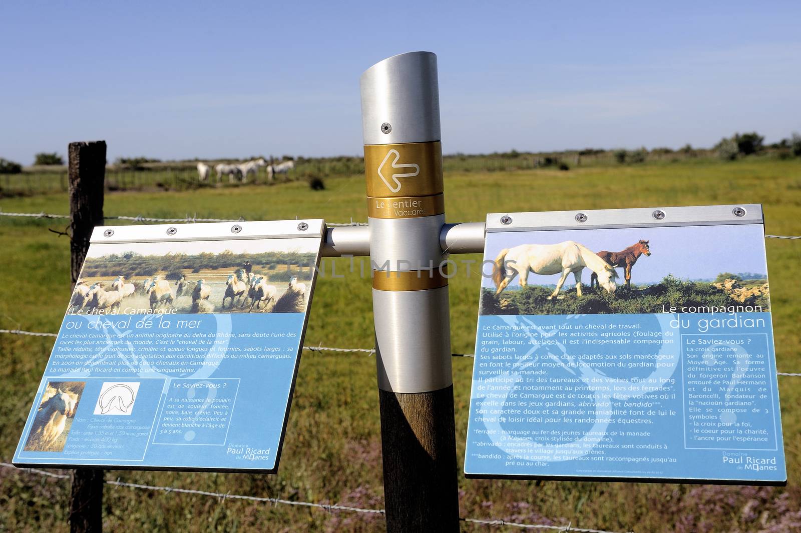 Signaling on the way Vaccar�s Camargue by gillespaire