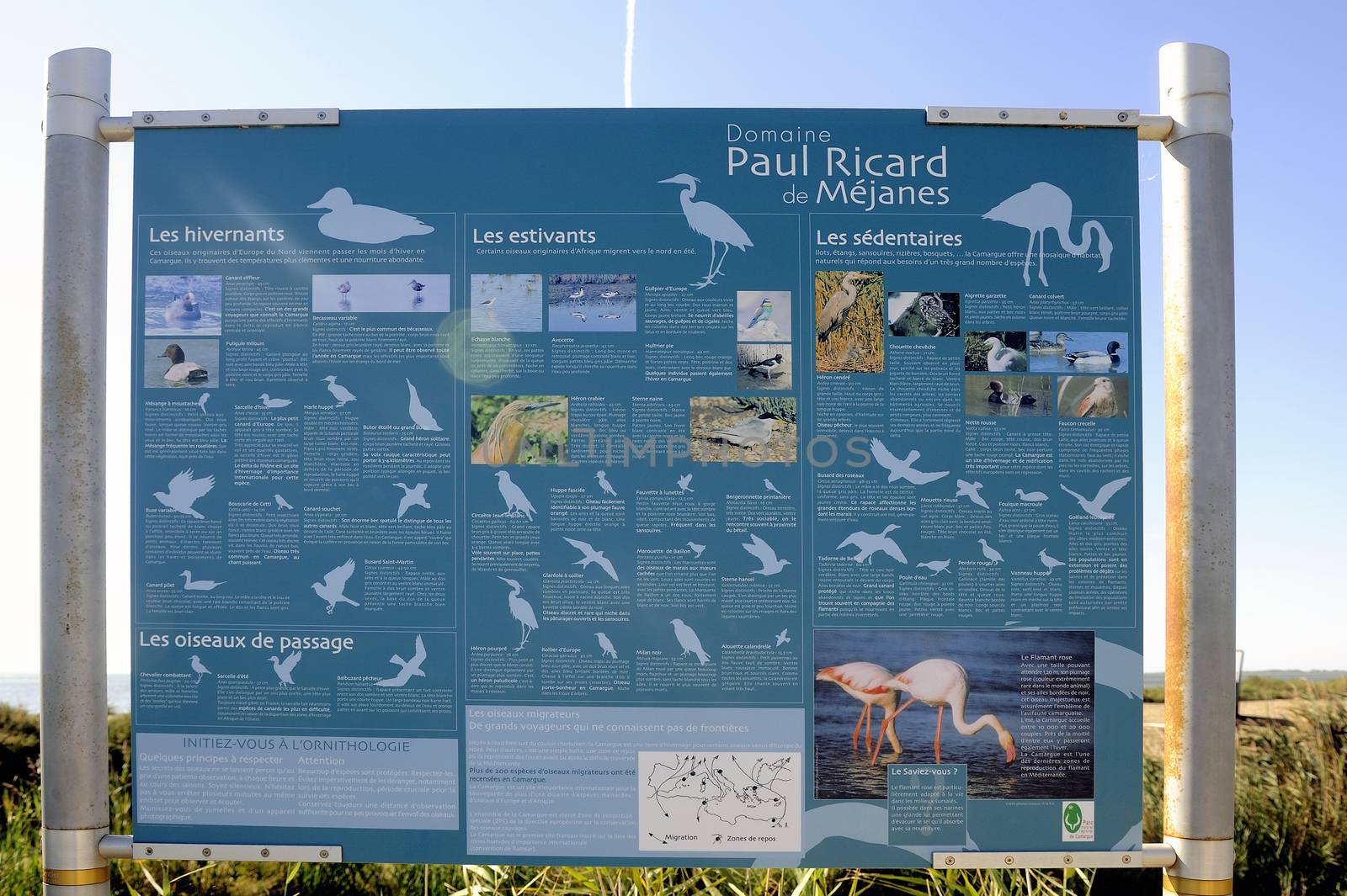 Signaling on the way Vaccar�s Camargue explaining all species of migratory birds present in the Camargue. 