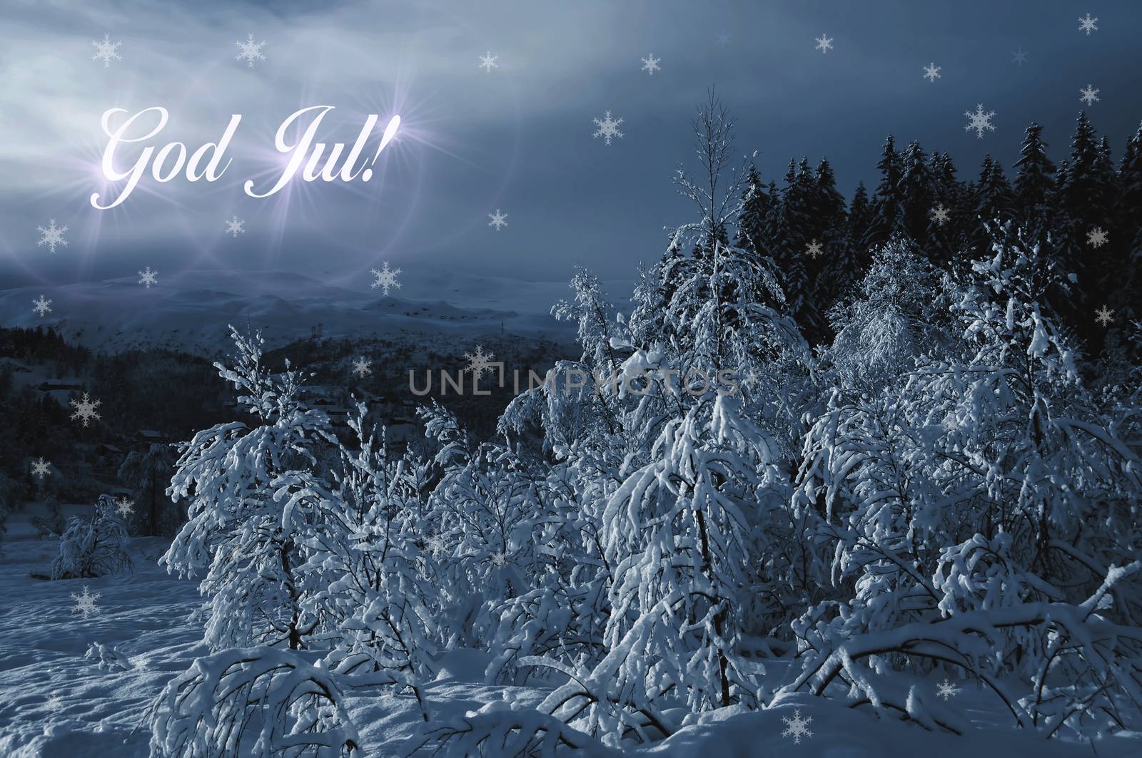 Snow covered trees and the Scandinavian text: God Jul!
