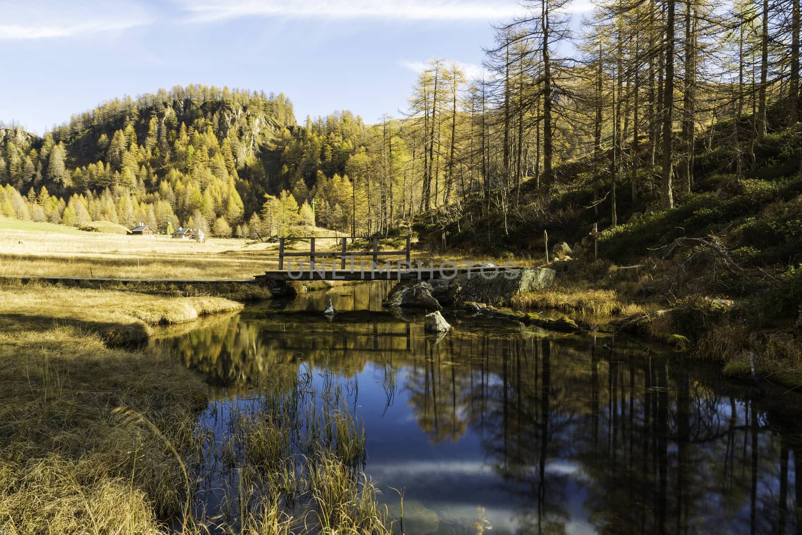 reflections in the river in autumn season, Natural Park of Devero Alp, Piedmont - Italy