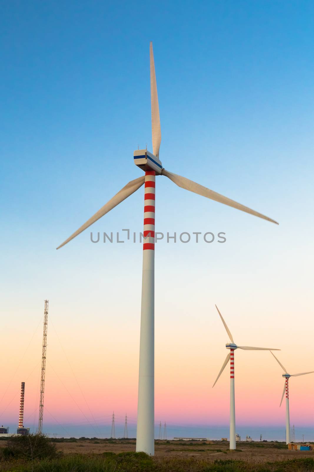 Group of windmills for renewable electric energy production. Eco power, wind turbines.