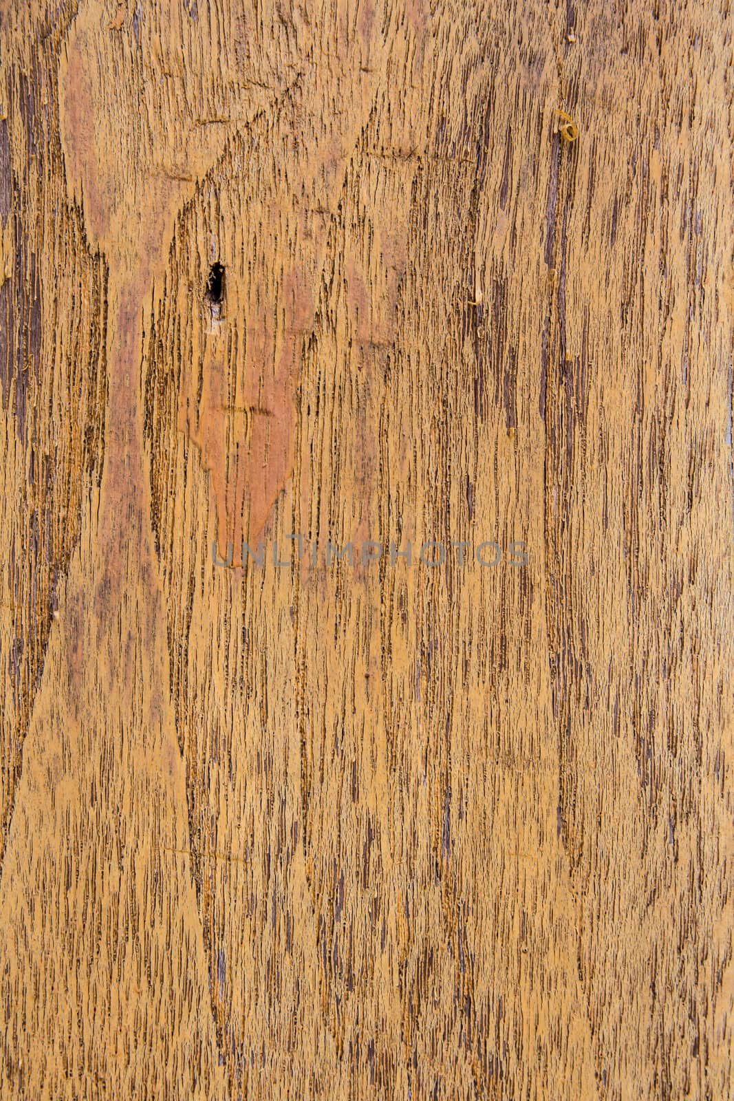 wood texture background by kasinv