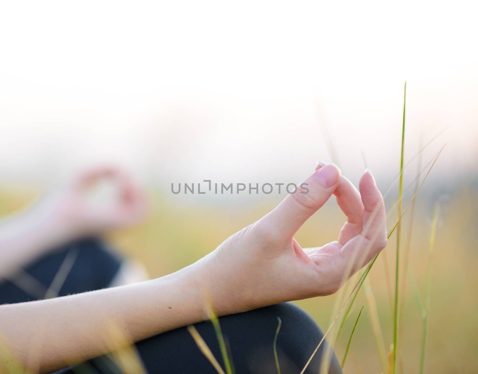 Woman Practices Yoga on the Meadow by maxpro