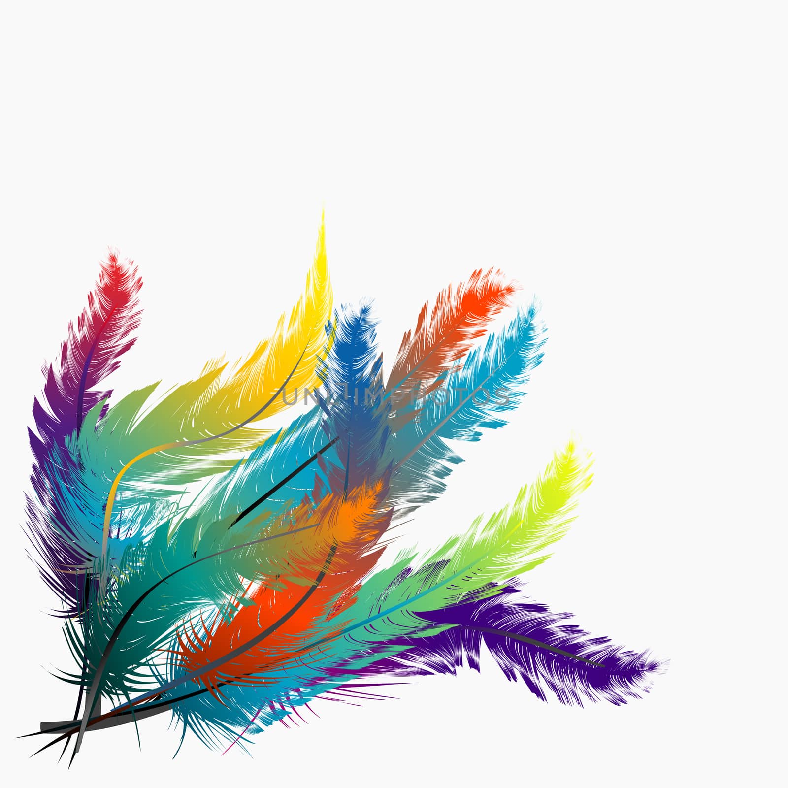 Colorful feathers background