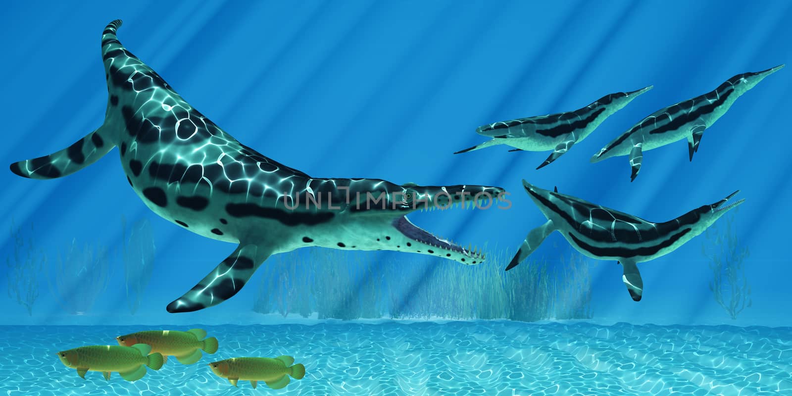 Kronosaurus Marine Reptile by Catmando