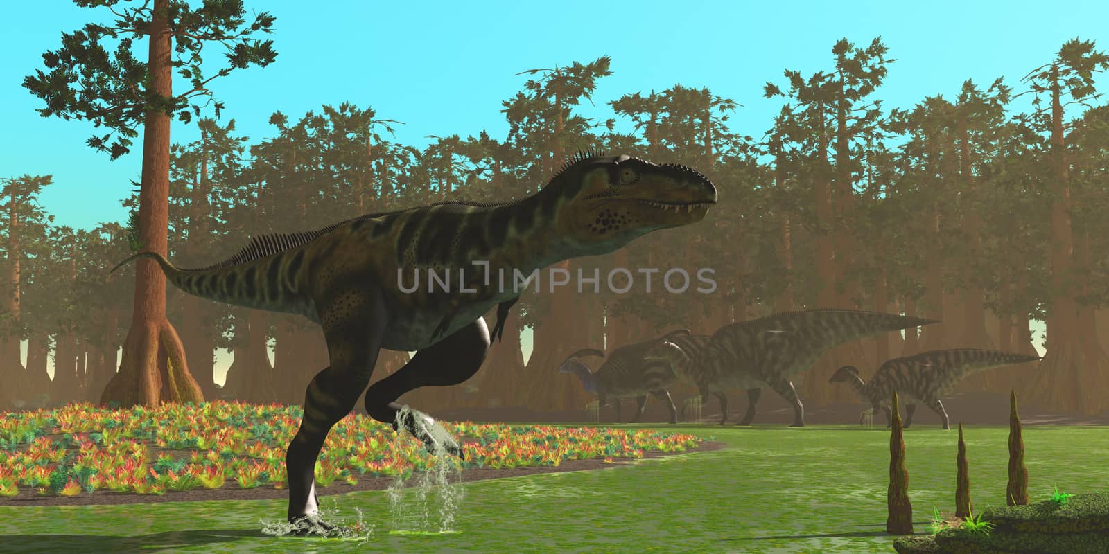 Parasaurolophus dinosaurs head the other way as a Bistahieversor carnivore splashes through a swampy area.