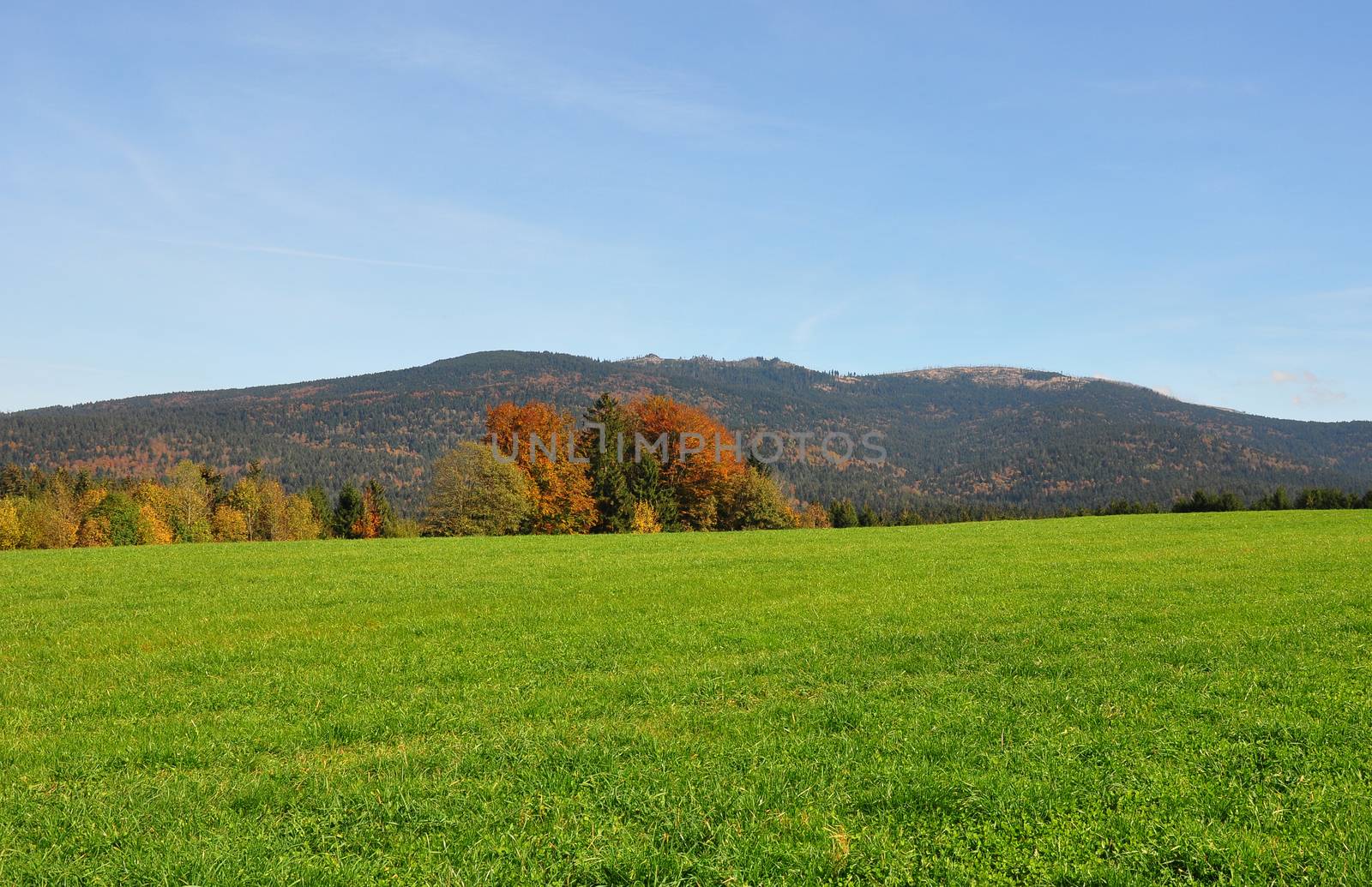 Mountain Dreisessel, Bavaria by rbiedermann