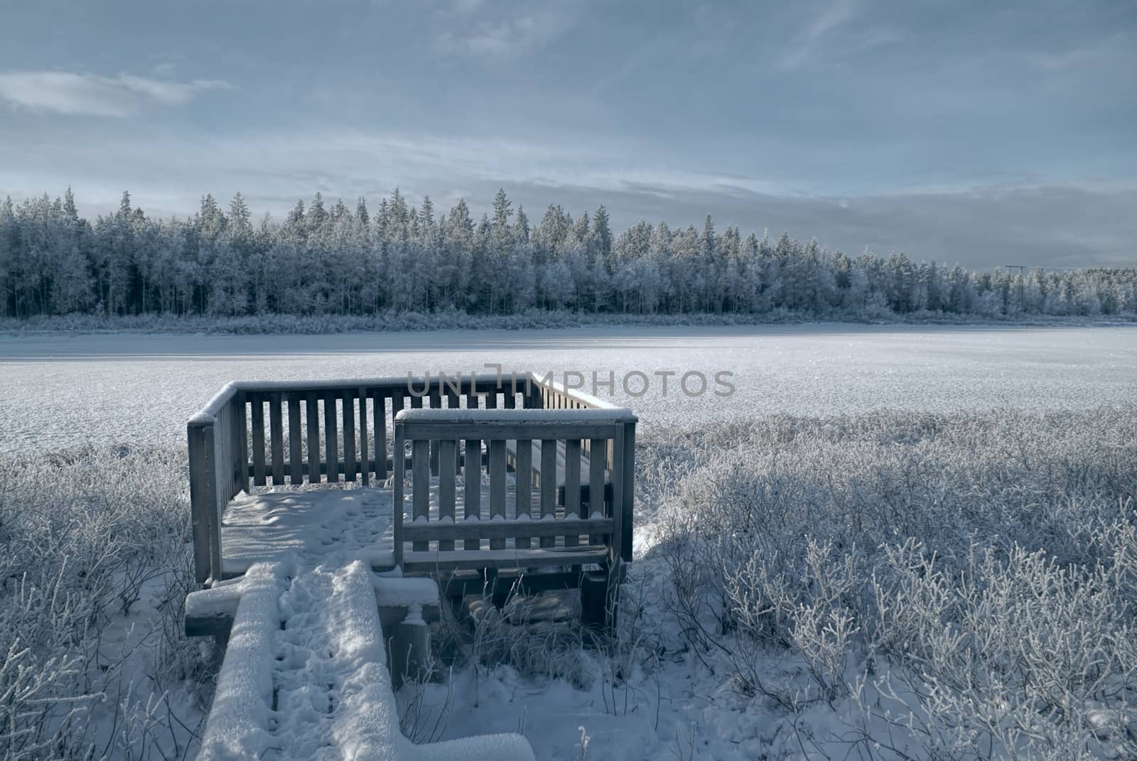 Gloomy view of a frozen forest and a wooden viewpoint