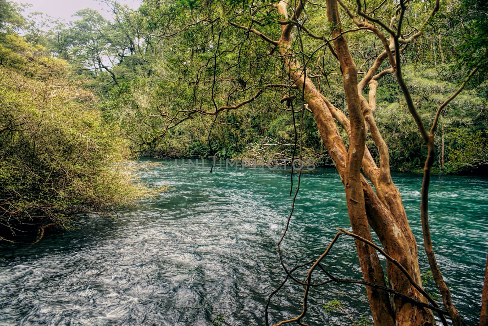 Picturesque view of a river flowing through Parque Nacional Vicente Perez Rosales