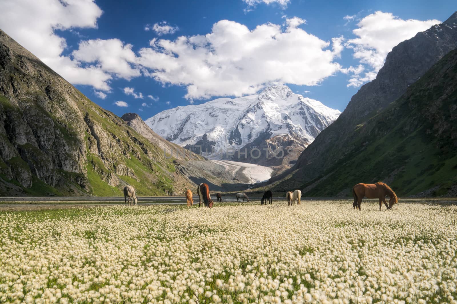Kyrgyzstan near Karakol by MichalKnitl