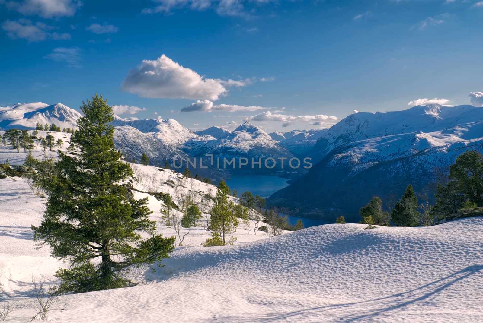 Amazing view of snowy planes in Norwegian Volda