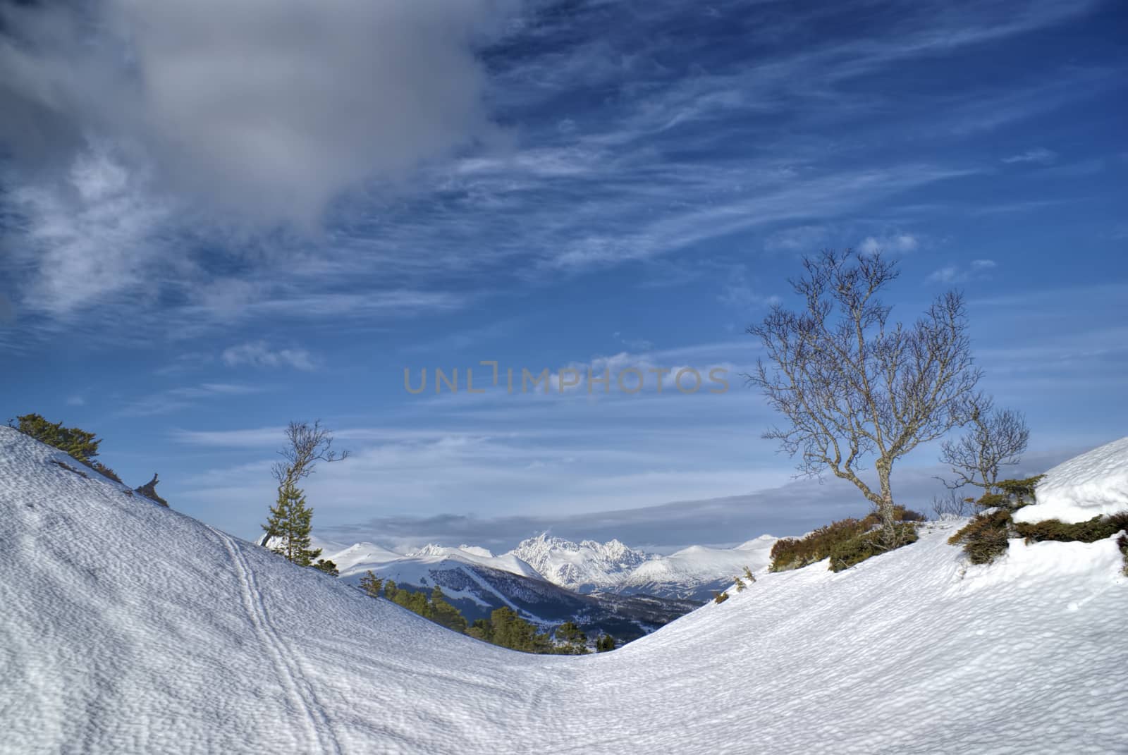 Picturesque view of a snowy valley in Norway with mountains in the background               