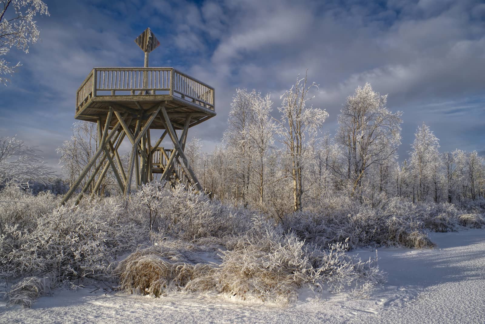 Amazing view of a frozen wooden look-out at the edge of a forest                 