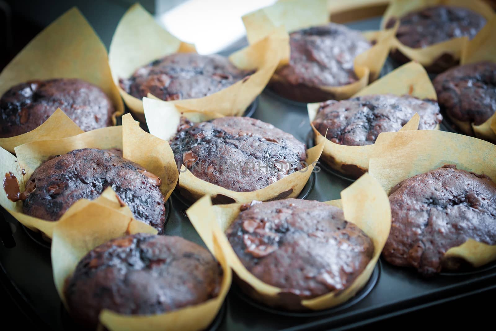 Chocolate muffins with blueberries on cooking pan