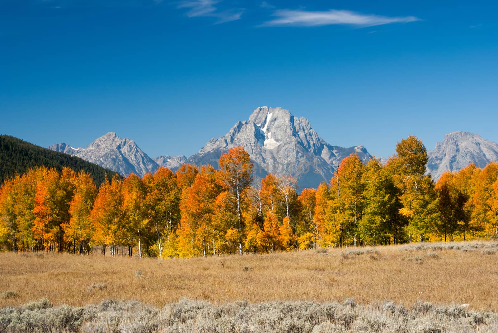 Grand tetons with Fall colors by emattil