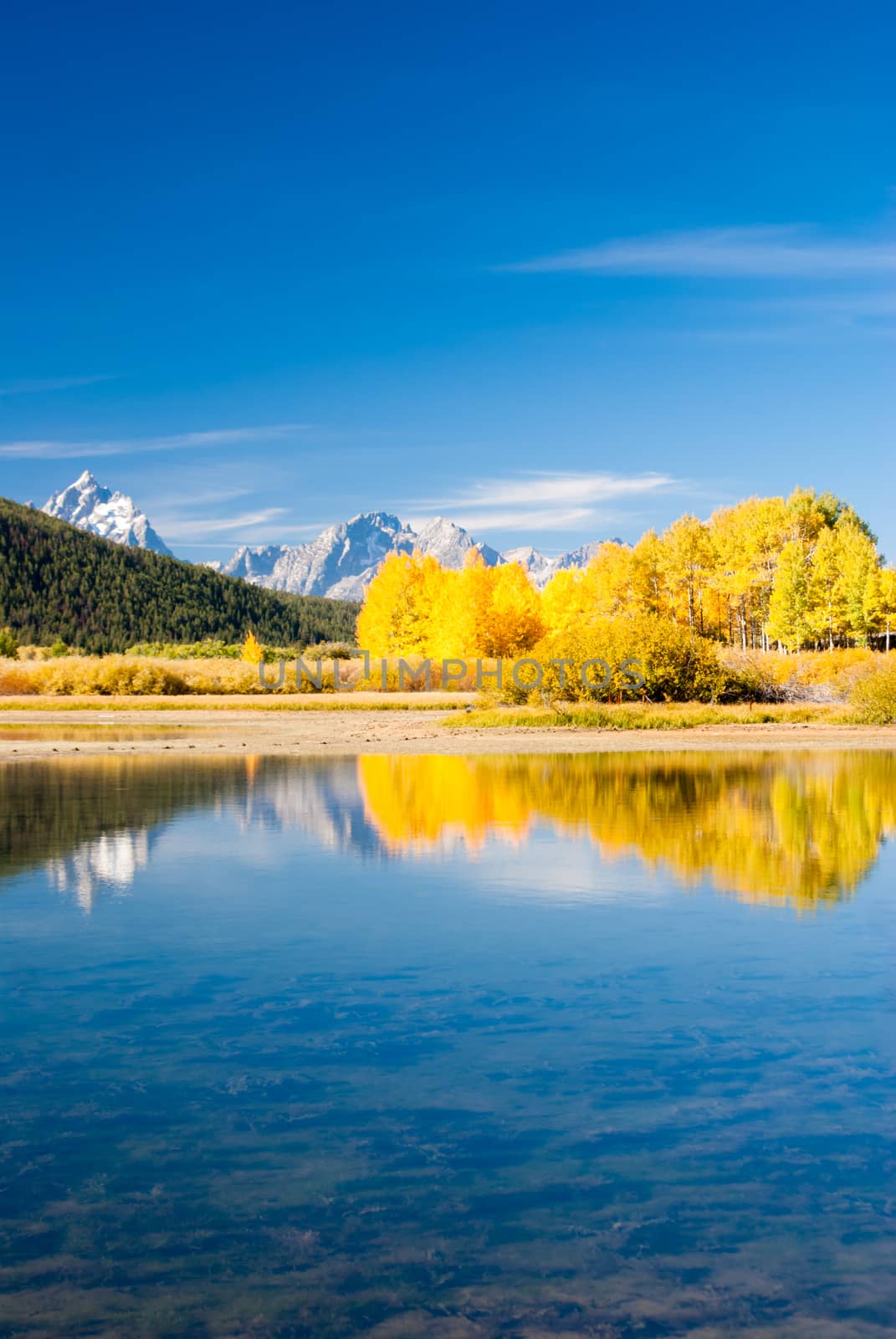 Reflections of Grand Tetons in Fall