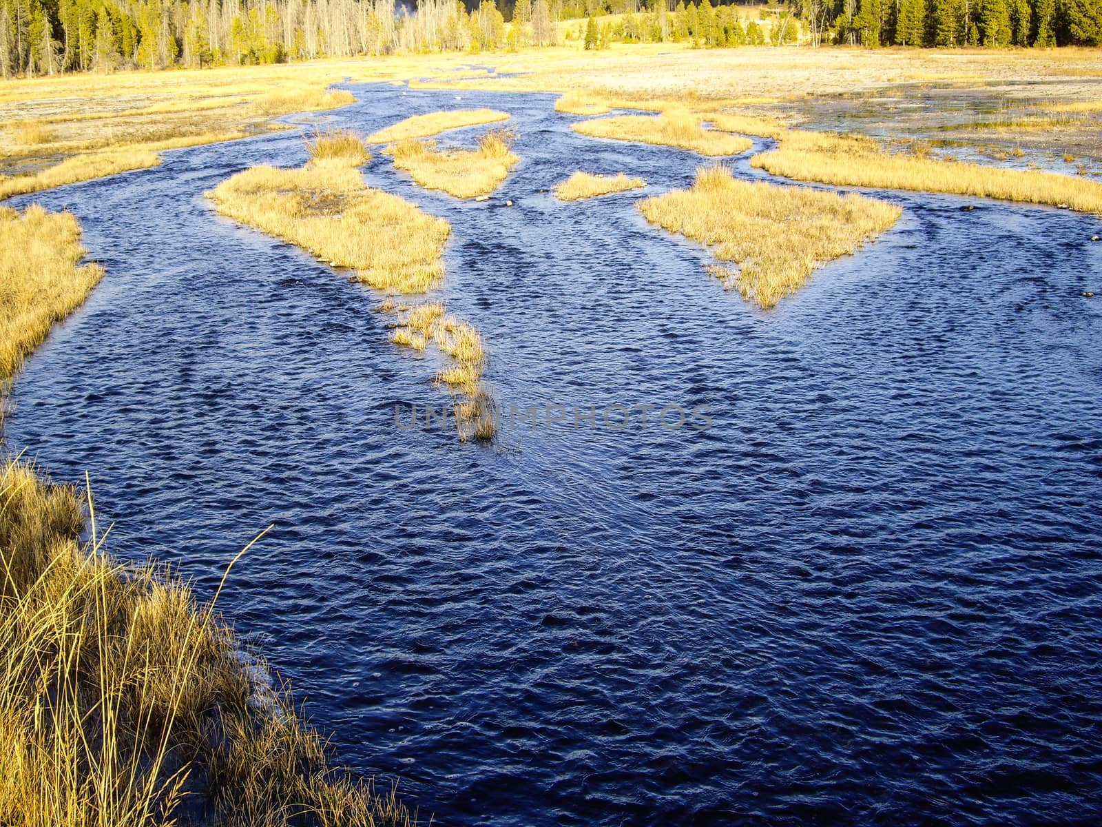 Watery marsh in Fall in Wyoming