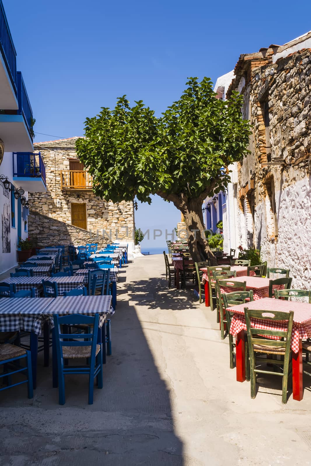 Alonissos Greek island street in the morning