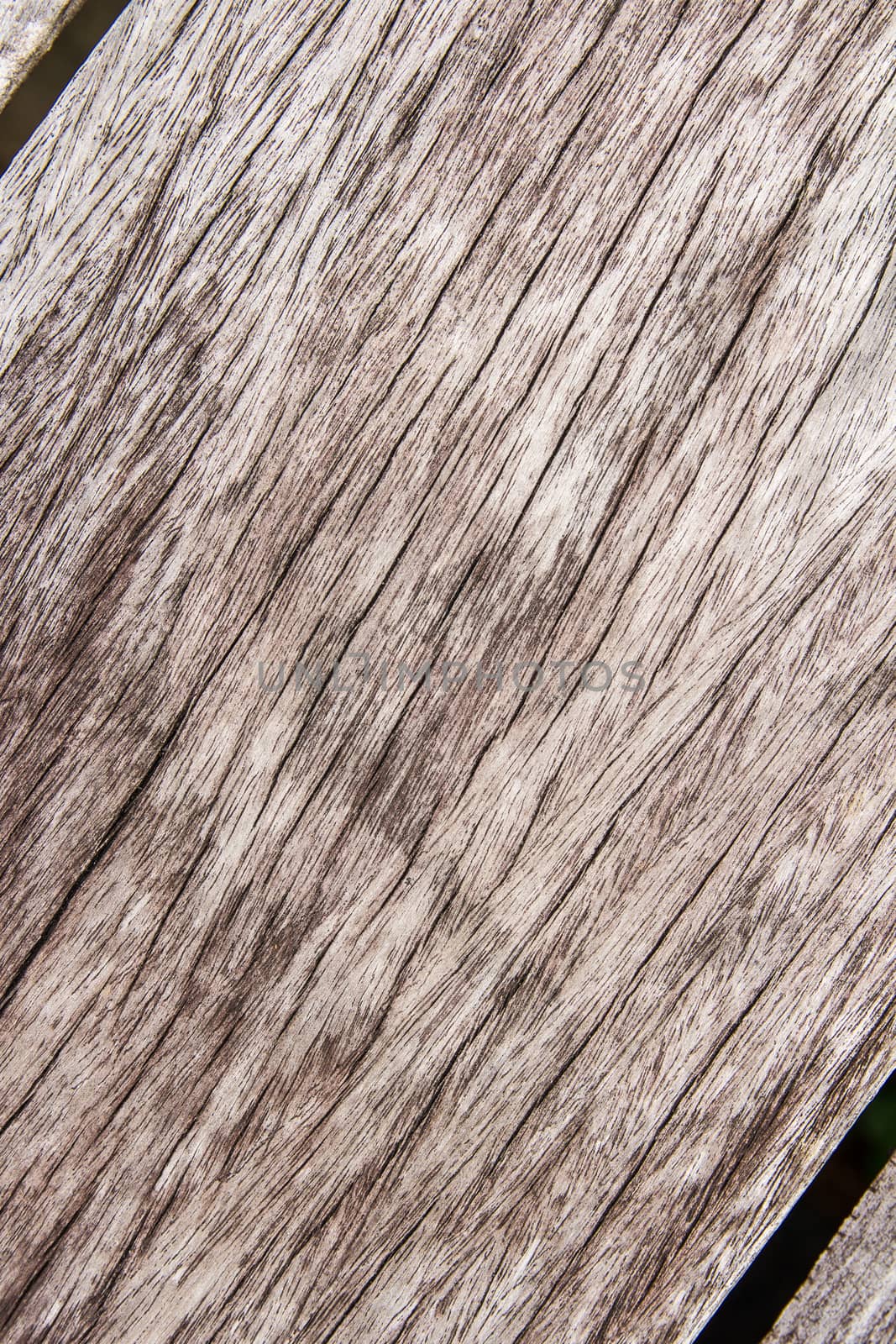 wood texture background by kasinv