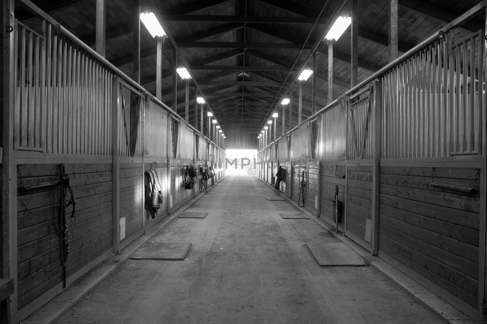 Center Path Through Horse Paddock Equestrian Ranch Stable by ChrisBoswell