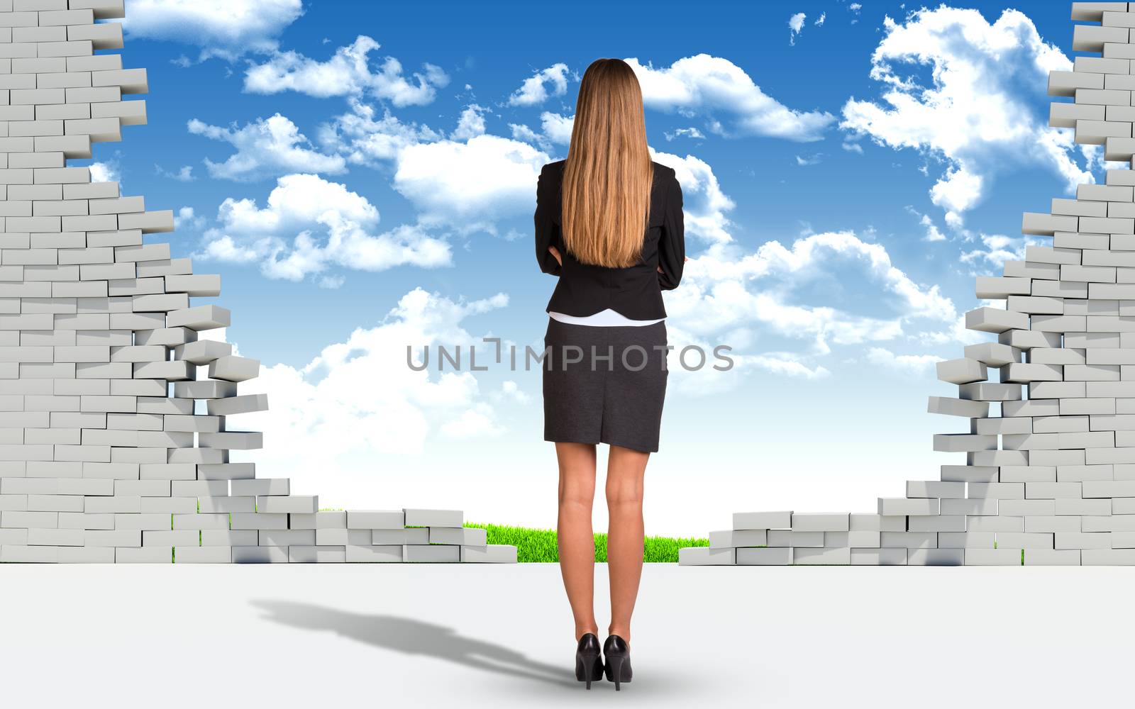 Businesswoman and ruined brick wall with nature landscape by cherezoff