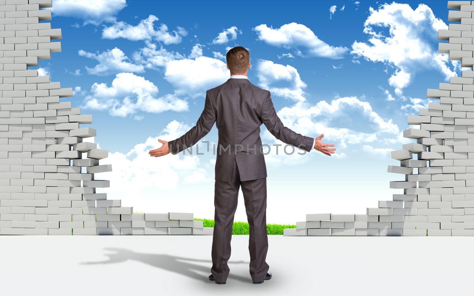 Businessman standing with his back to camera. Ruined brick wall and nature landscape as backdrop