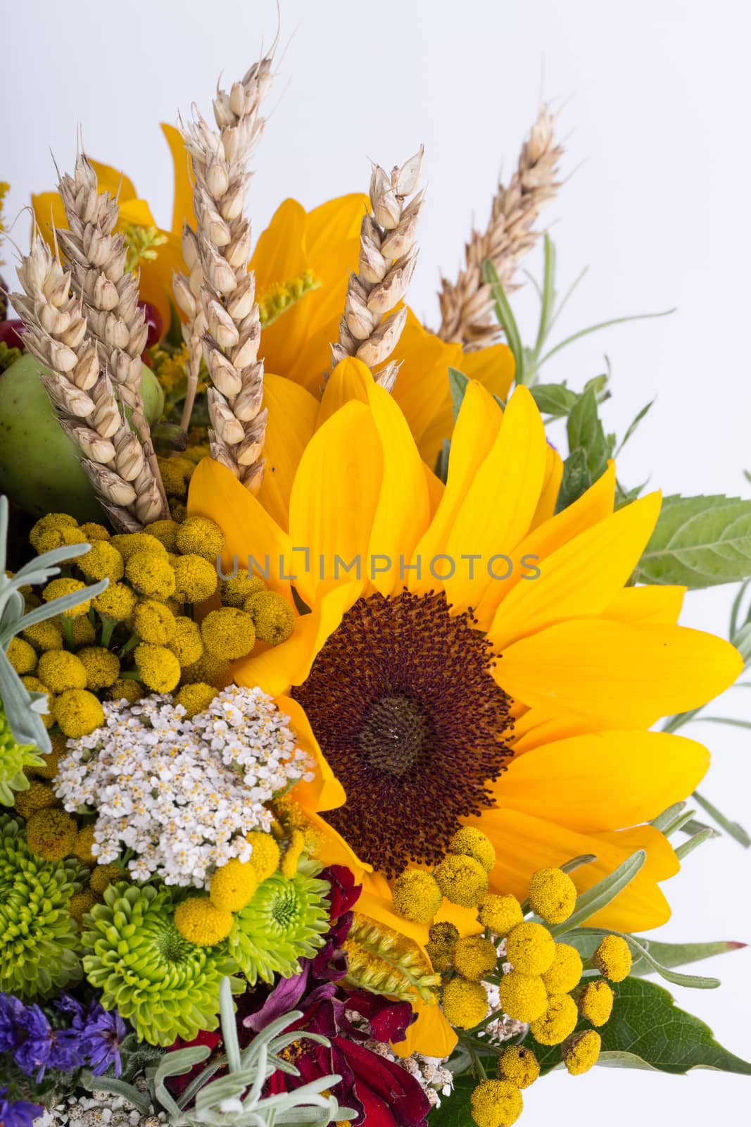 beautiful bouquets of flowers and herbs 