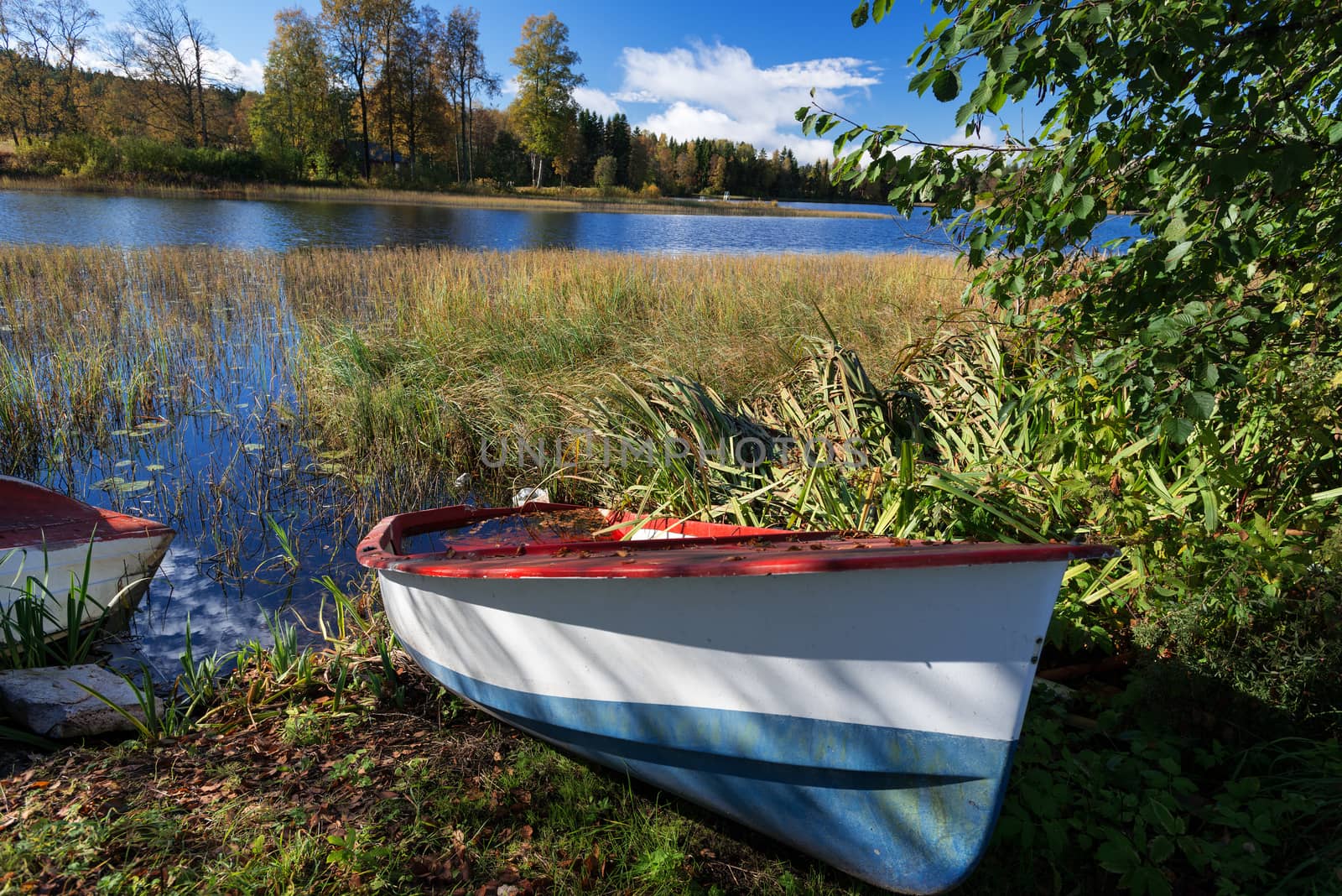 Abandoned boat near lake at Dikemark, Asker, Norway