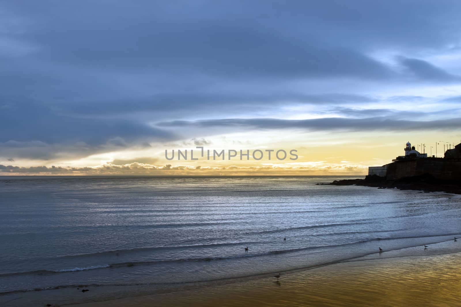birds on the beach in Youghal county Cork Ireland with lighthouse in the background