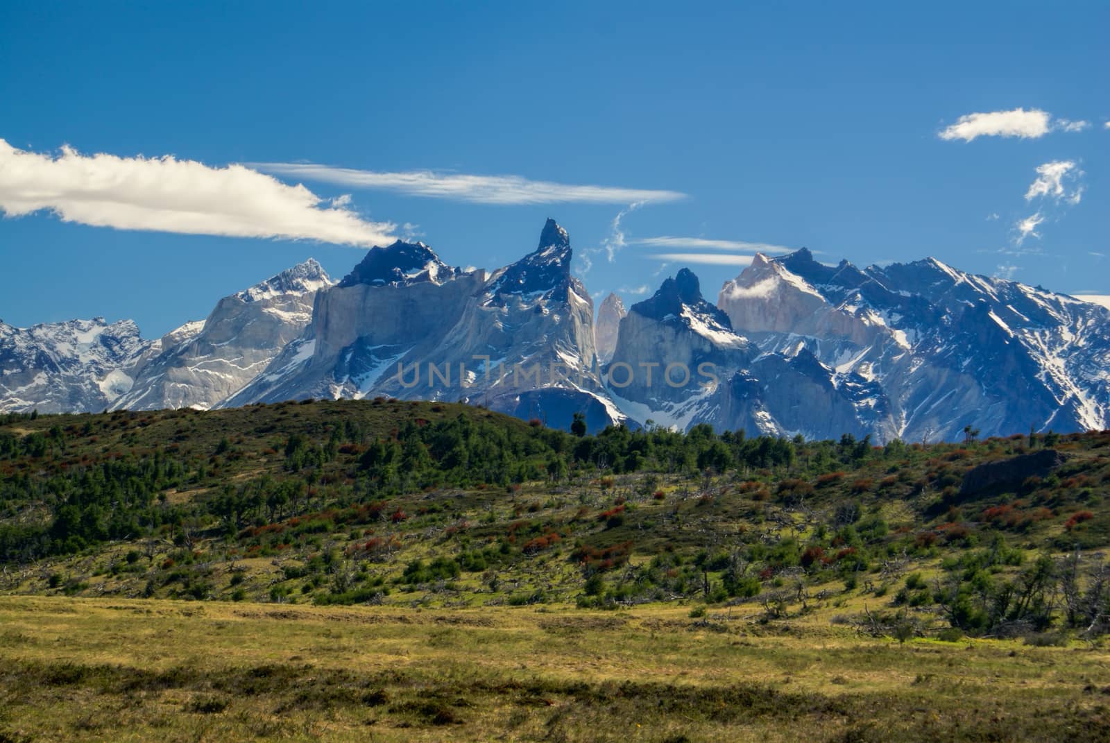 Torres del Paine by MichalKnitl