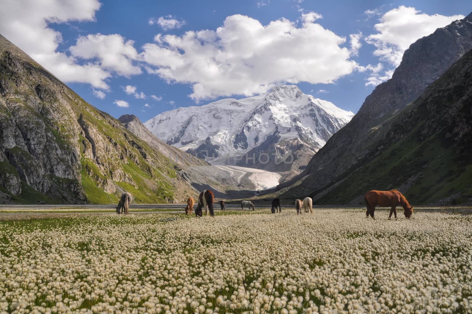 Tian-Shan in Kyrgyzstan by MichalKnitl