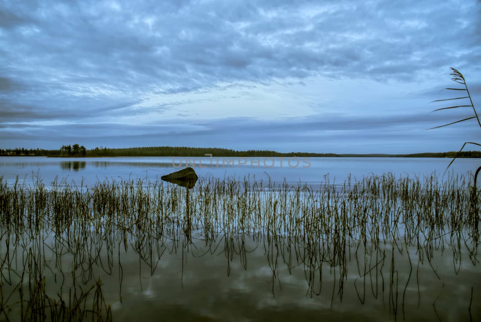 Finnish lake  by MichalKnitl