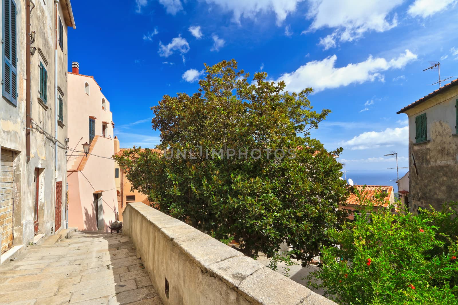 view in Marciana, small village in Elba island, Tuscany, Italy
