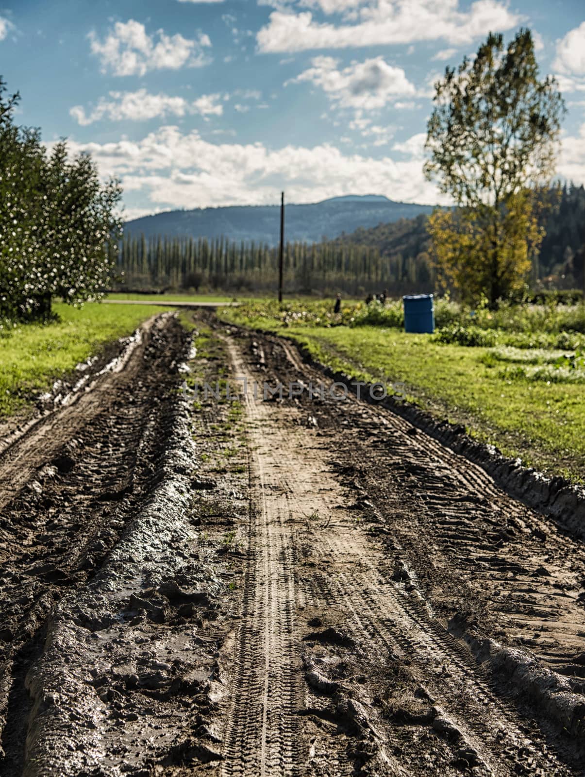 muddy farm road with tractor ruts by rongreer