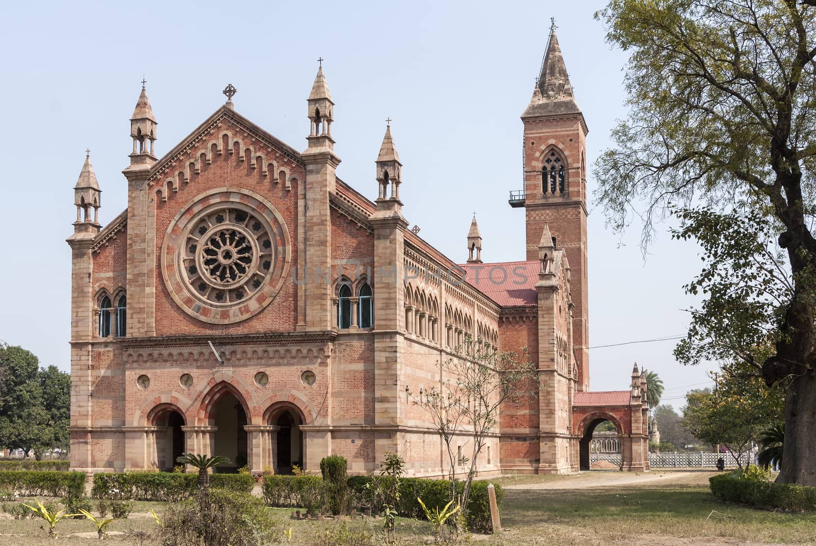 India Kanpur: All Souls Church in its park with tower and rose-w by Claudine