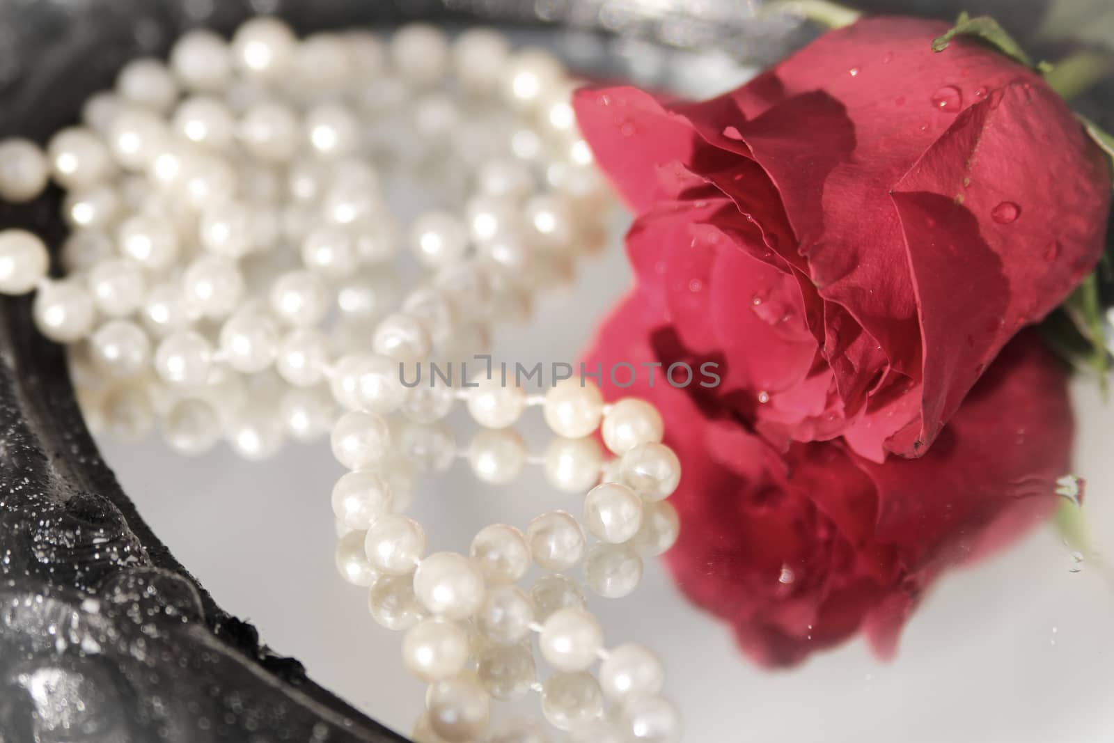 Romantic pink rose and pearls on a mirror with reflection and shallow depth of field